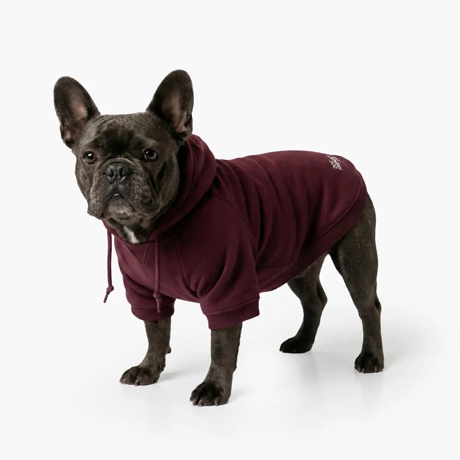 Signature Dog Hoodies - Maroon