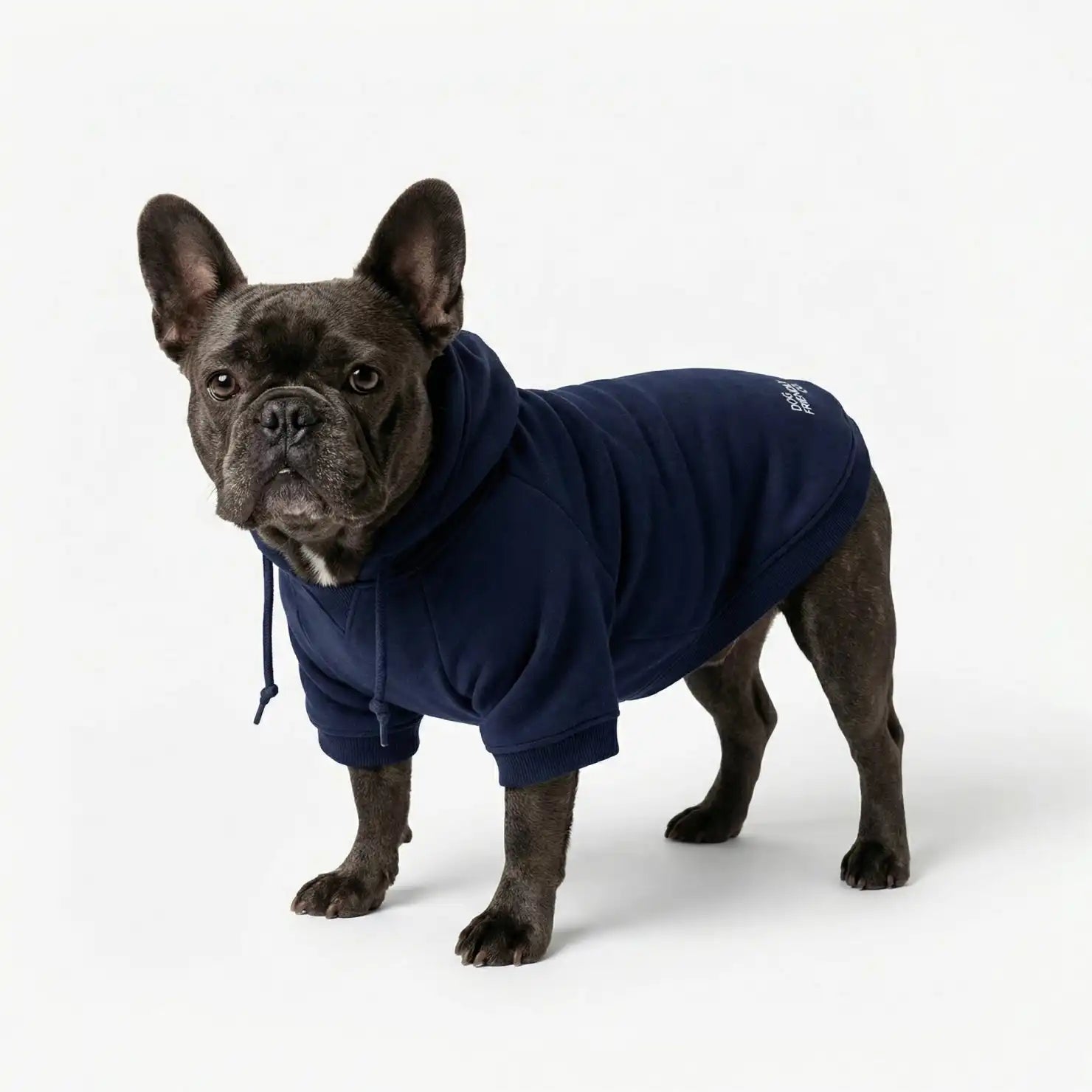 Signature Dog Hoodies - Navy Blue
