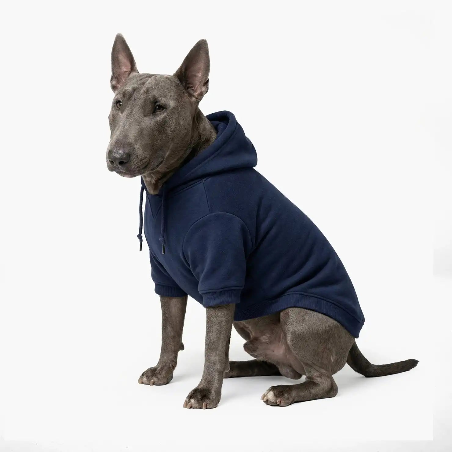 dogfriendlyco.it.com