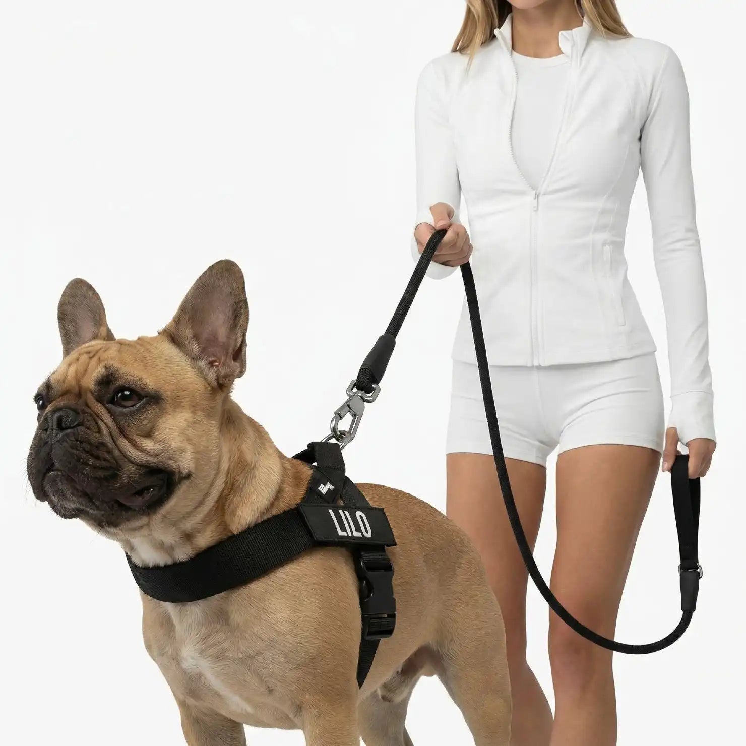 dogfriendlyco.it.com