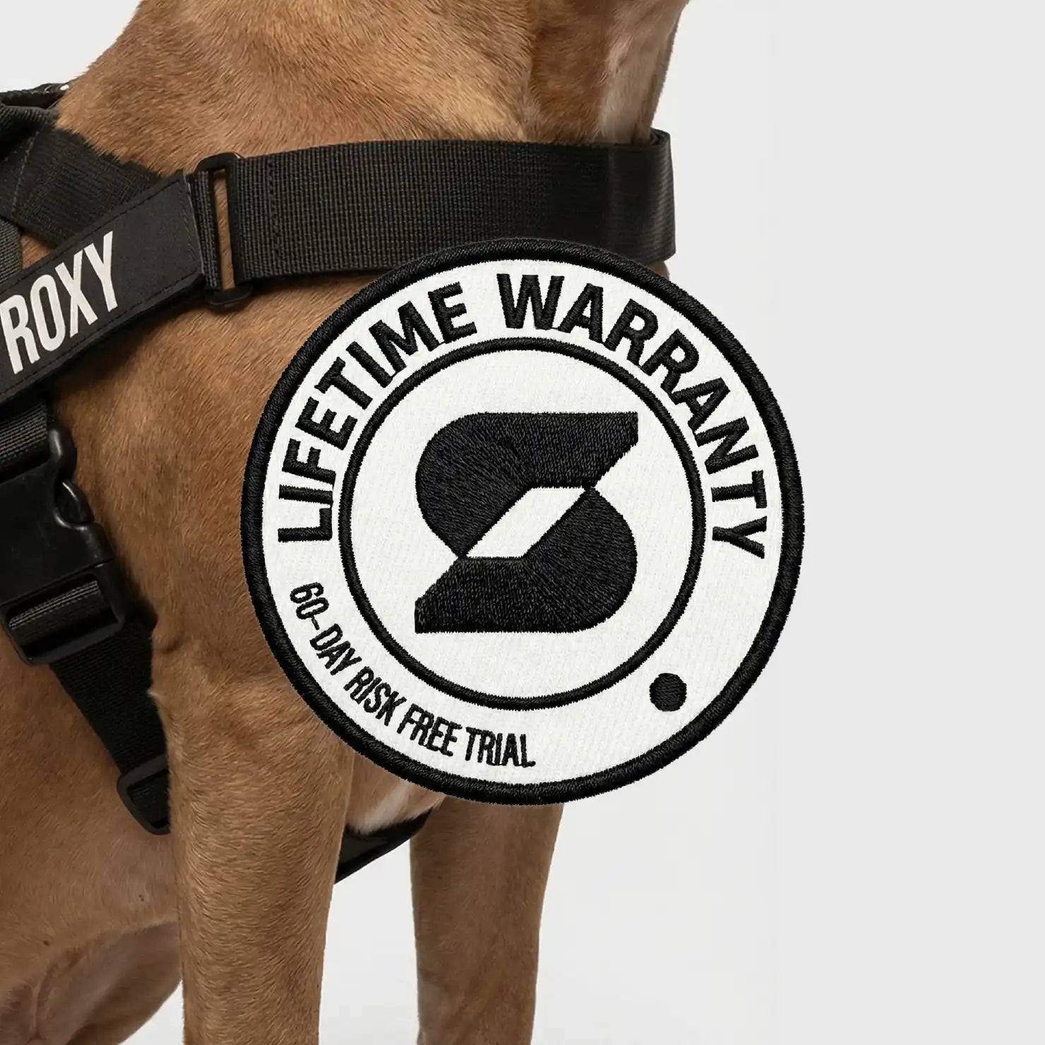 grunsonline.it.com