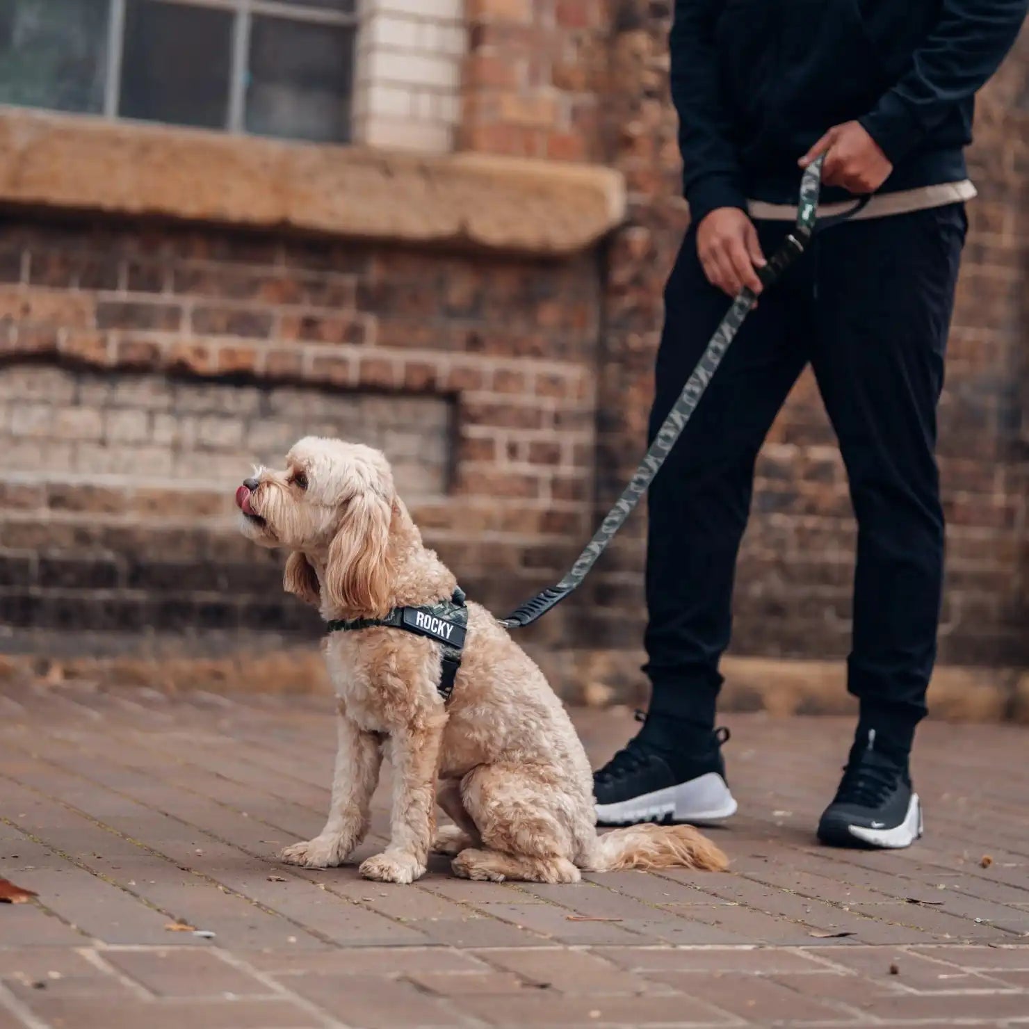 grunsonline.it.com