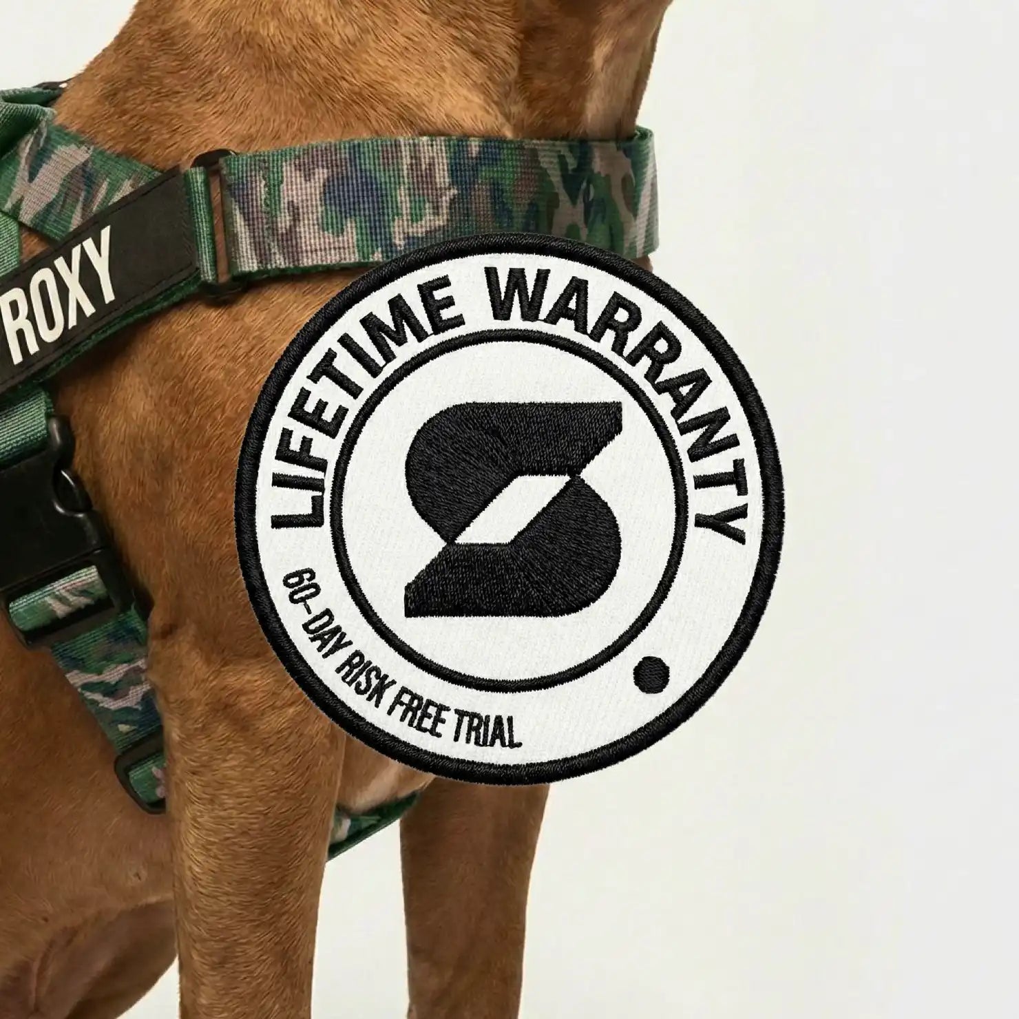 grunsonline.it.com