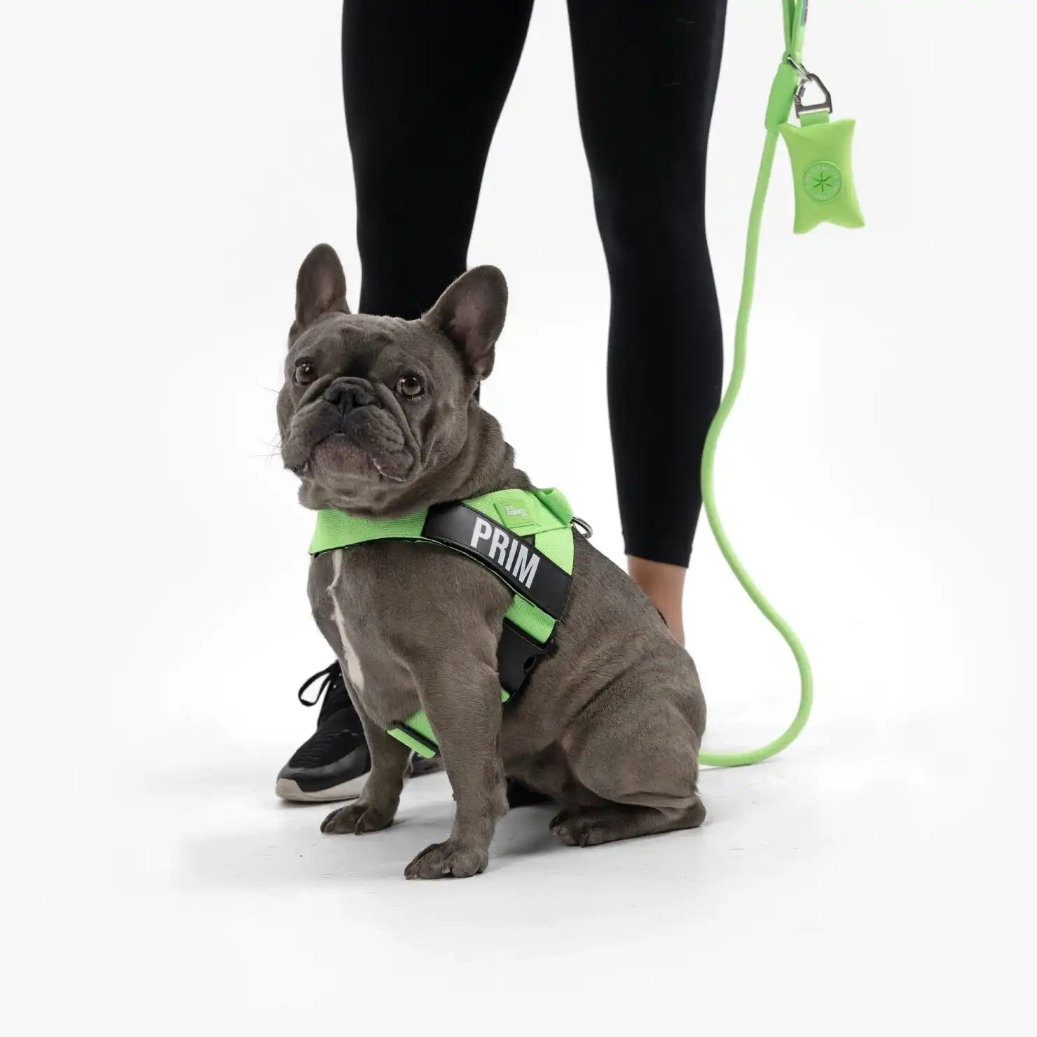 dogfriendlyco.it.com