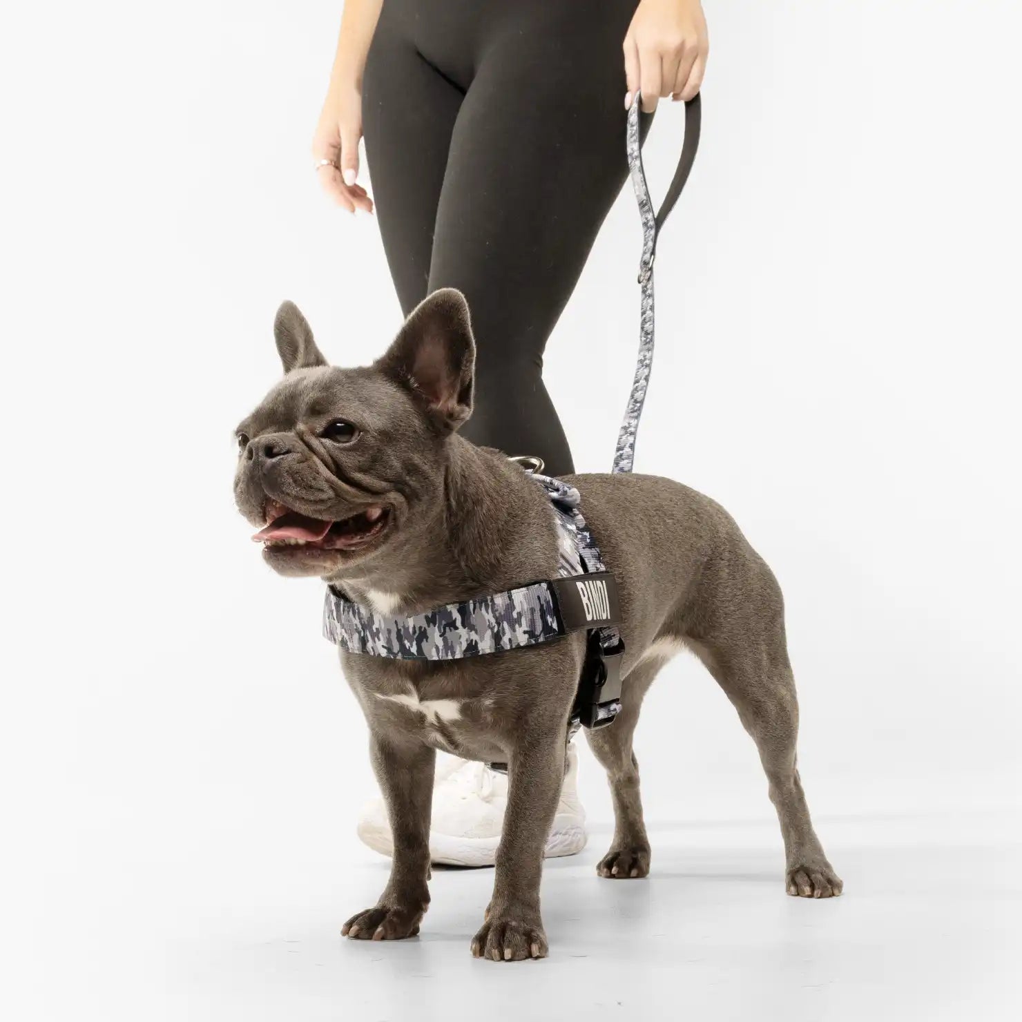grunsonline.it.com