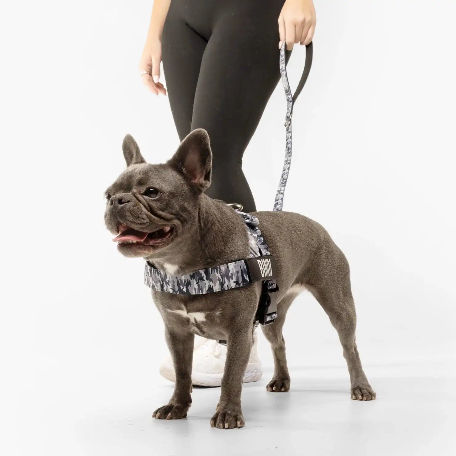 grunsonline.it.com