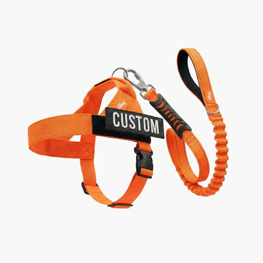 Signature Kit - Orange - FREE D-Ring