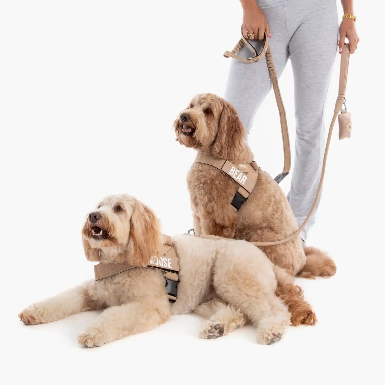 dogfriendlyco.it.com