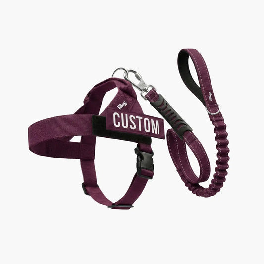 Signature Kit - Burgundy - FREE D-Ring