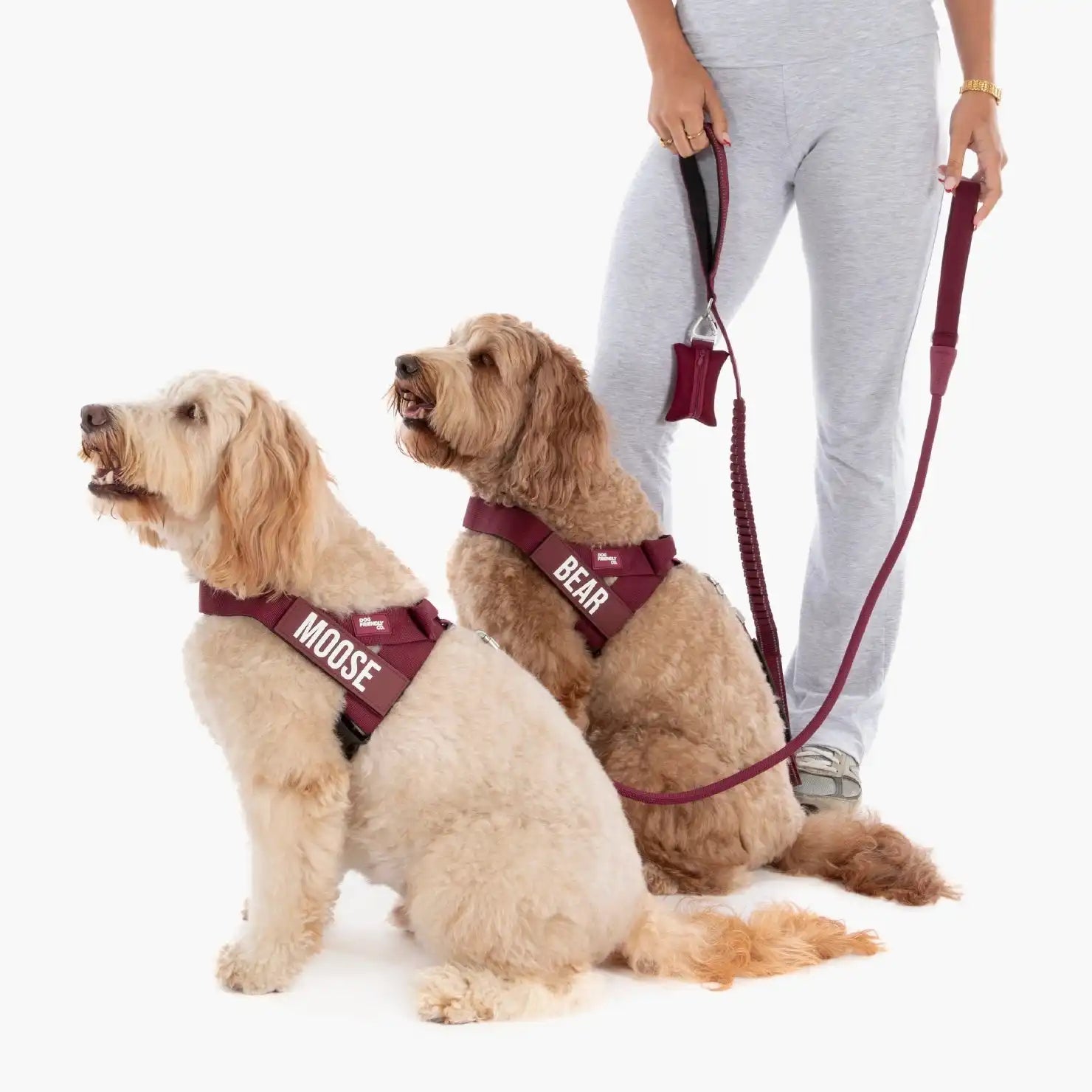 dogfriendlyco.it.com
