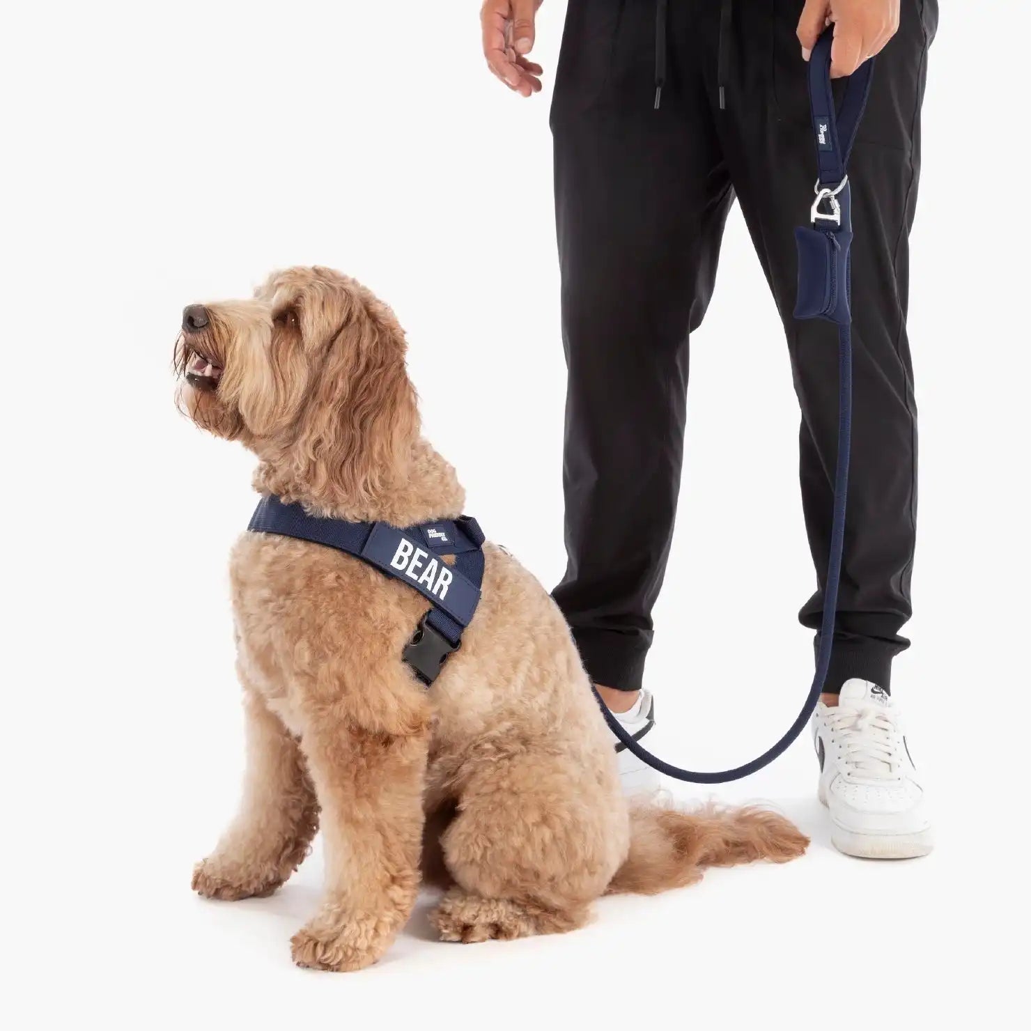 dogfriendlyco.it.com