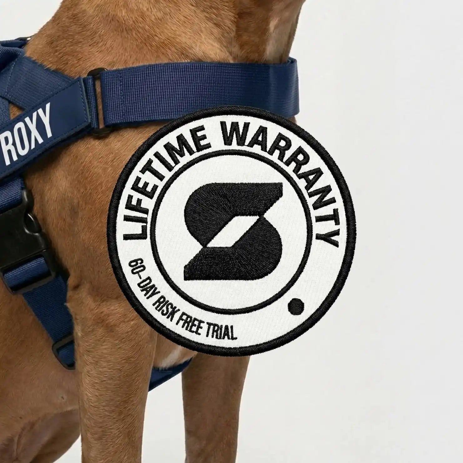 grunsonline.it.com