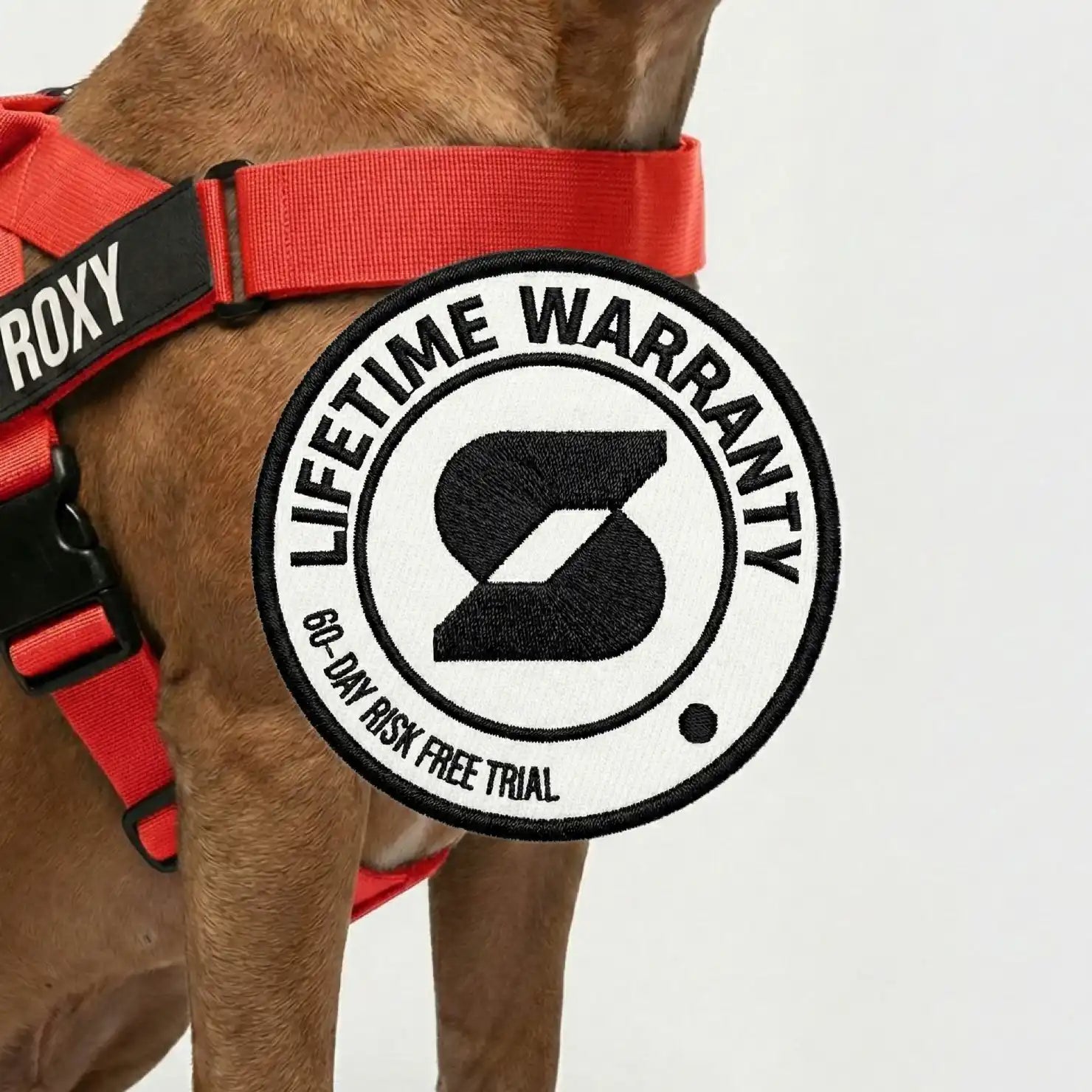 grunsonline.it.com