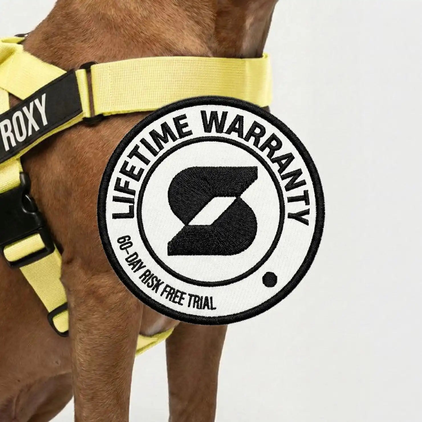 grunsonline.it.com