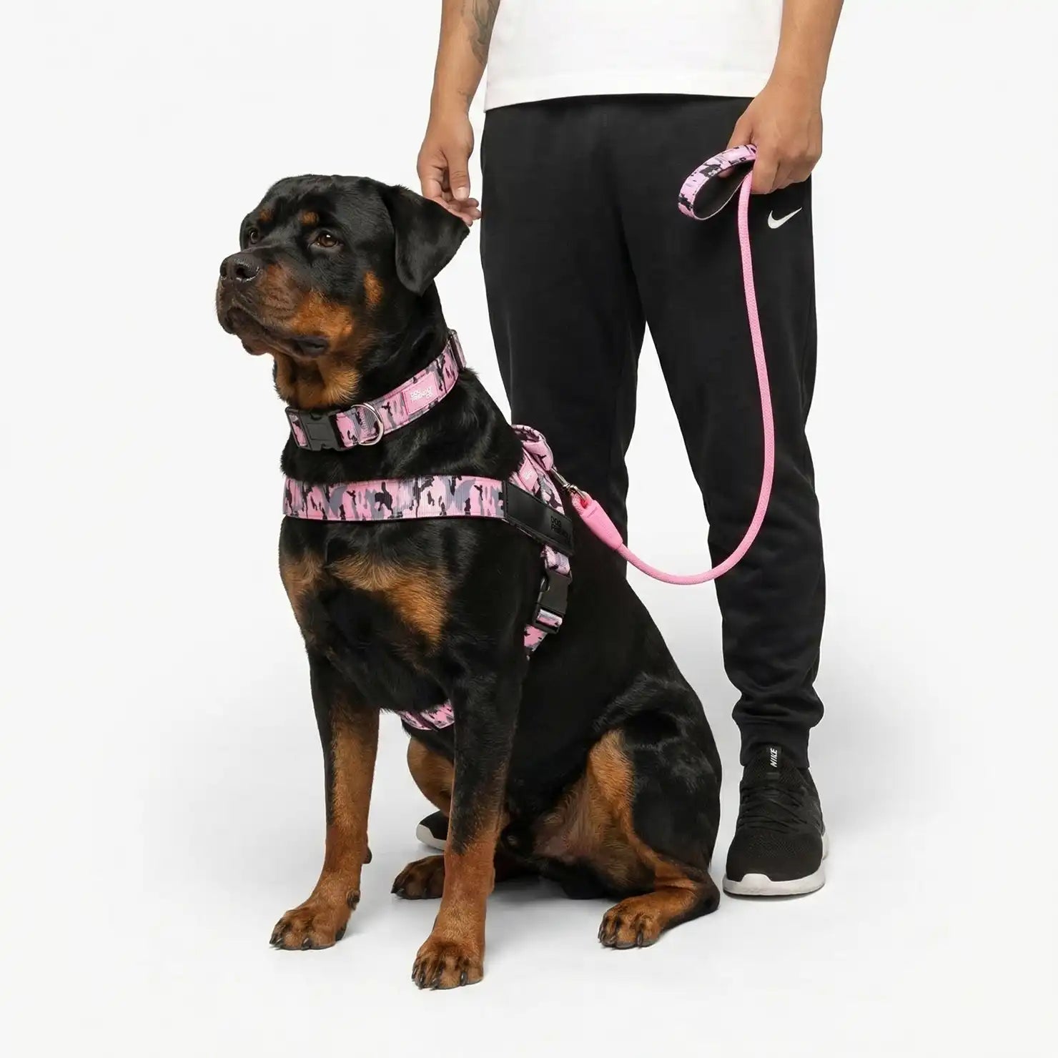 grunsonline.it.com