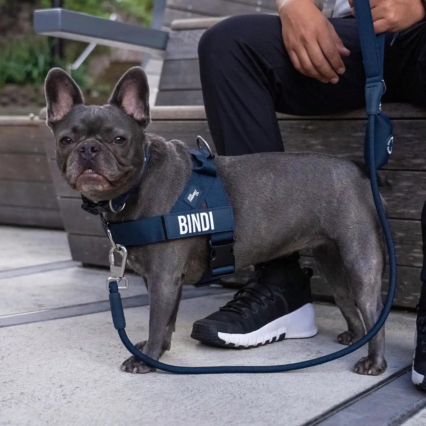grunsonline.it.com
