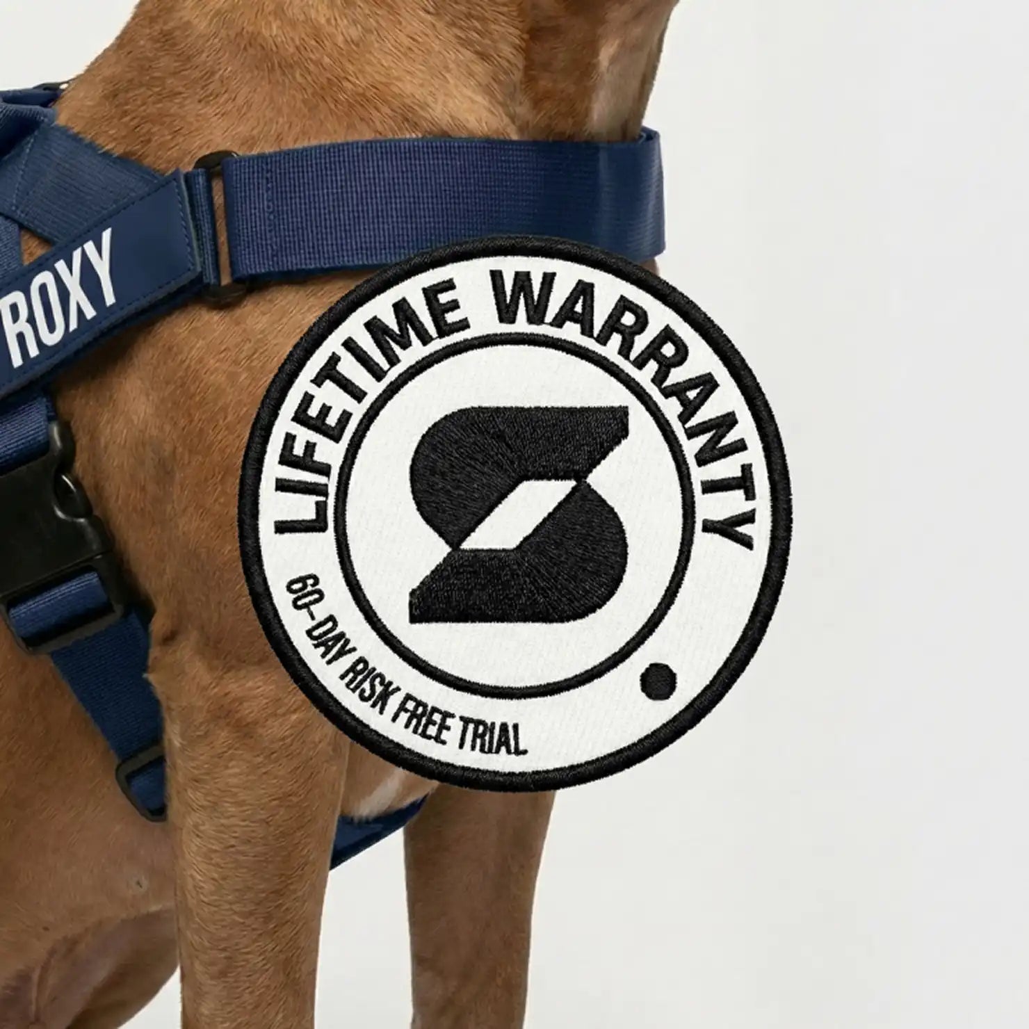 grunsonline.it.com