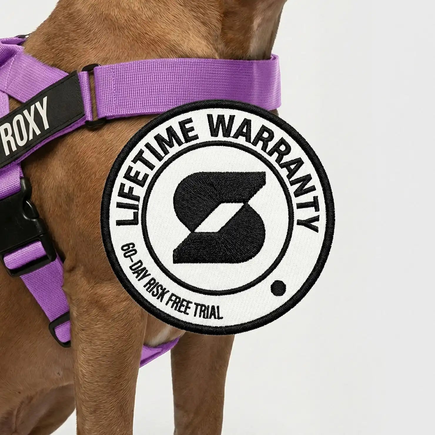 grunsonline.it.com