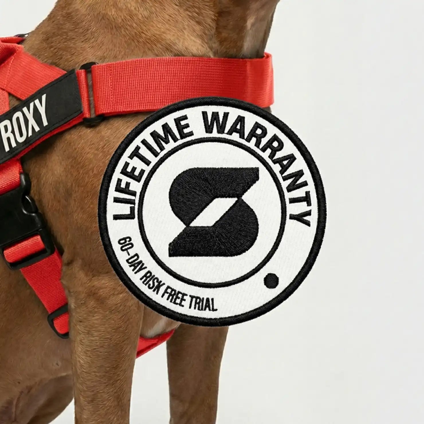 grunsonline.it.com