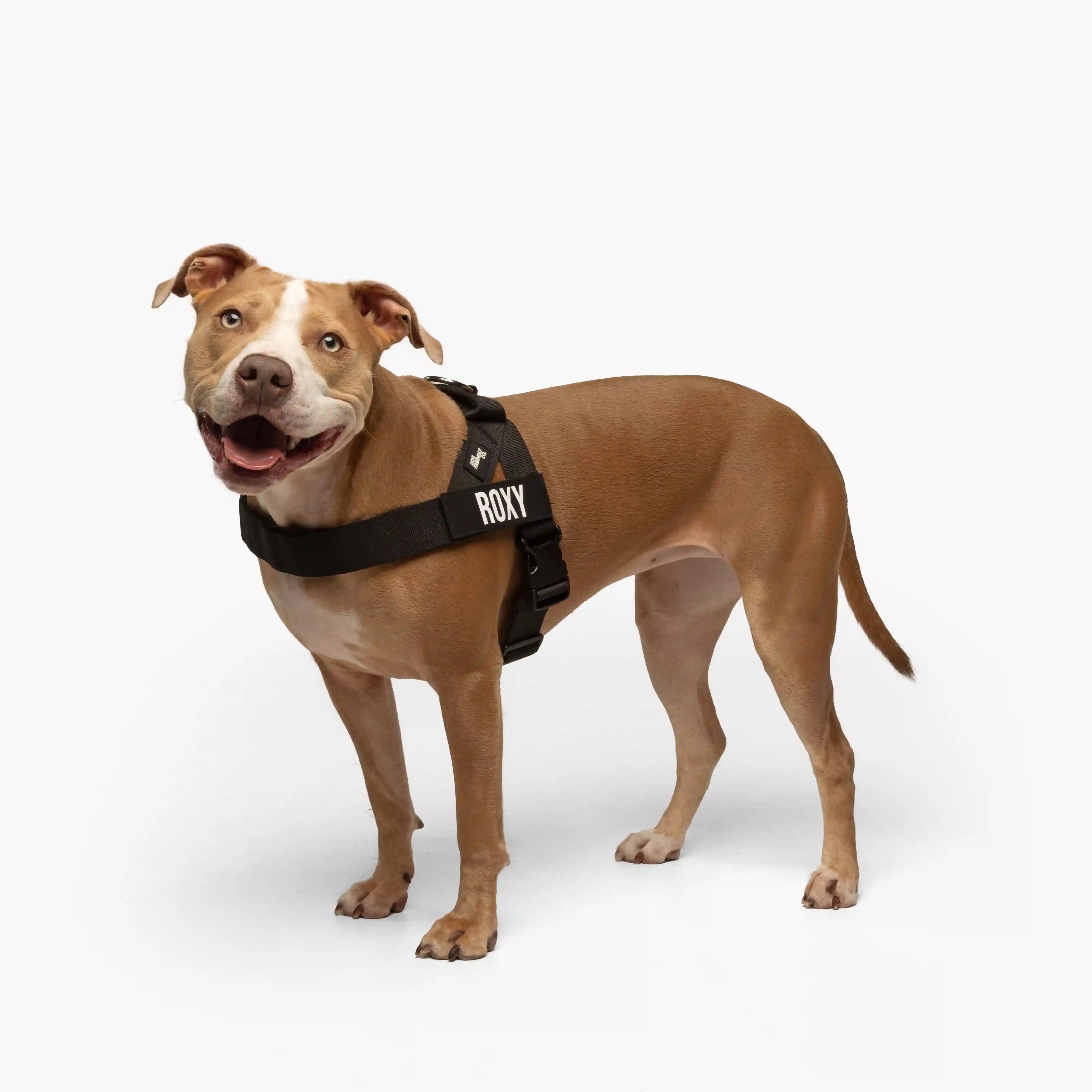 grunsonline.it.com