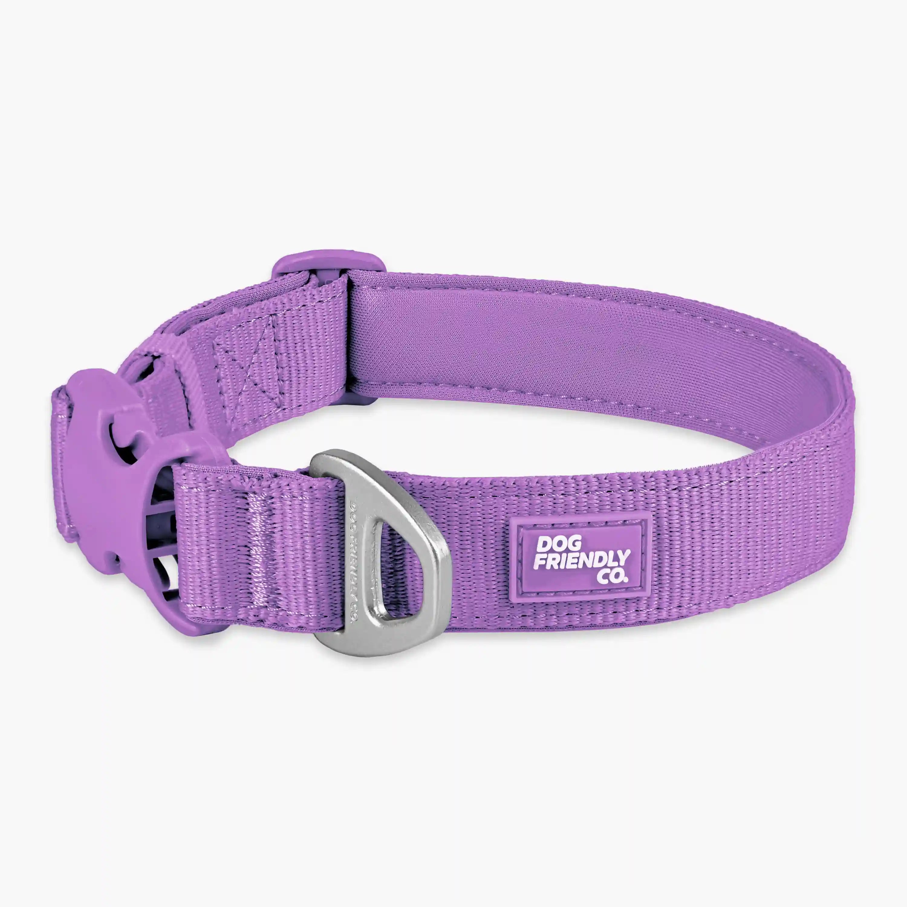 dogfriendlyco.it.com