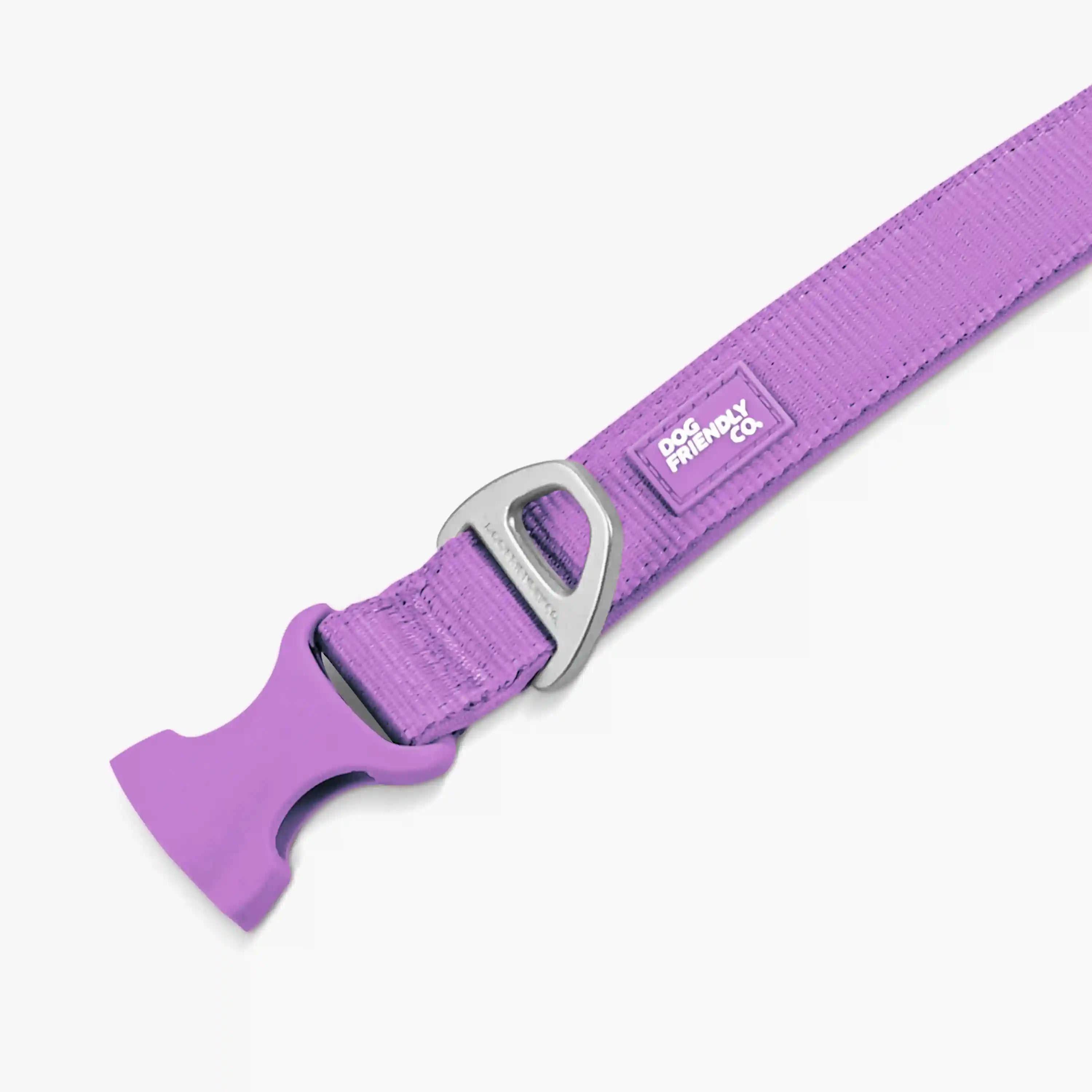 dogfriendlyco.it.com