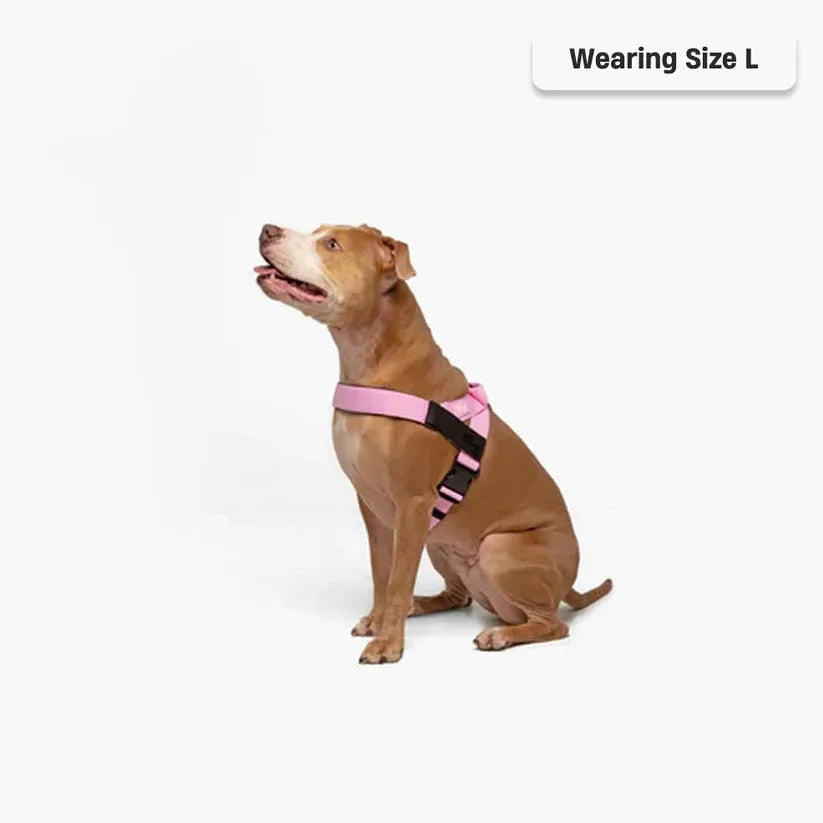 grunsonline.it.com
