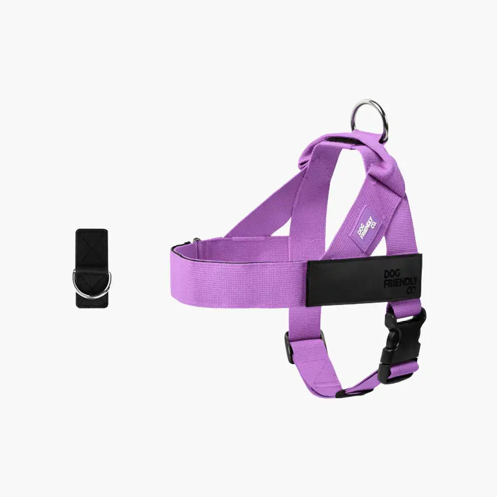 grunsonline.it.com
